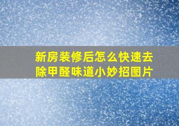 新房装修后怎么快速去除甲醛味道小妙招图片