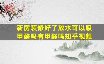 新房装修好了放水可以吸甲醛吗有甲醛吗知乎视频