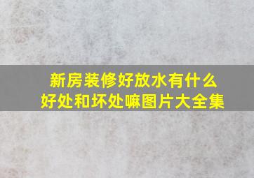 新房装修好放水有什么好处和坏处嘛图片大全集