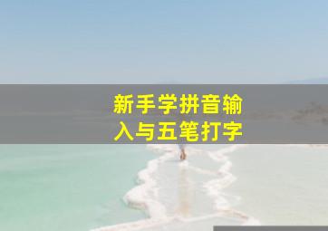 新手学拼音输入与五笔打字