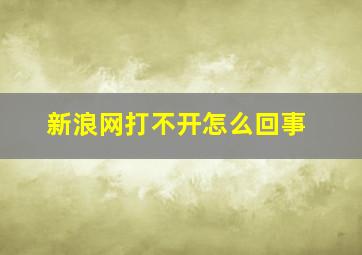 新浪网打不开怎么回事