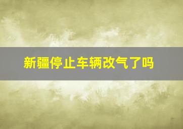 新疆停止车辆改气了吗