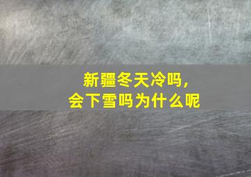 新疆冬天冷吗,会下雪吗为什么呢