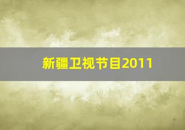 新疆卫视节目2011