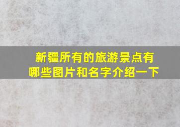 新疆所有的旅游景点有哪些图片和名字介绍一下