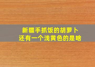 新疆手抓饭的胡萝卜还有一个浅黄色的是啥