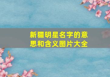 新疆明星名字的意思和含义图片大全