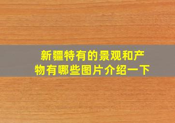 新疆特有的景观和产物有哪些图片介绍一下