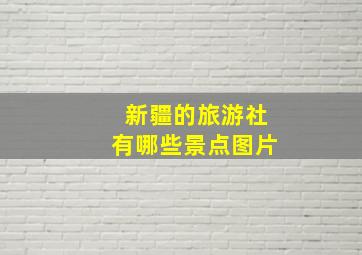 新疆的旅游社有哪些景点图片