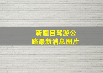 新疆自驾游公路最新消息图片