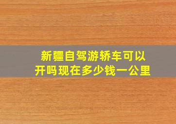 新疆自驾游轿车可以开吗现在多少钱一公里