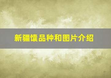 新疆馕品种和图片介绍