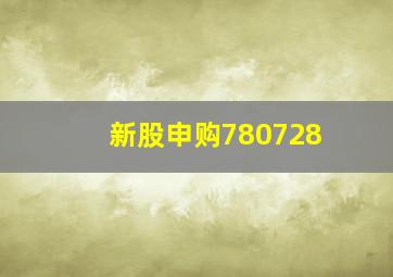 新股申购780728