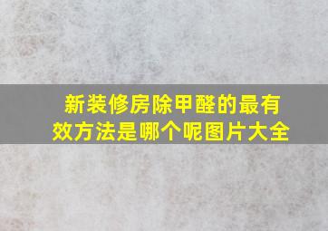 新装修房除甲醛的最有效方法是哪个呢图片大全