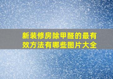 新装修房除甲醛的最有效方法有哪些图片大全