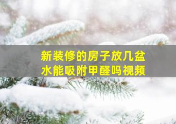 新装修的房子放几盆水能吸附甲醛吗视频