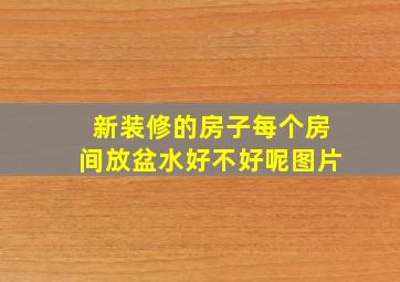 新装修的房子每个房间放盆水好不好呢图片