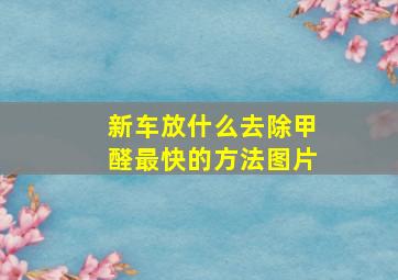 新车放什么去除甲醛最快的方法图片