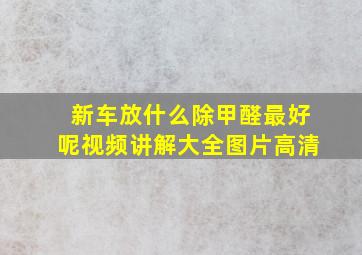 新车放什么除甲醛最好呢视频讲解大全图片高清