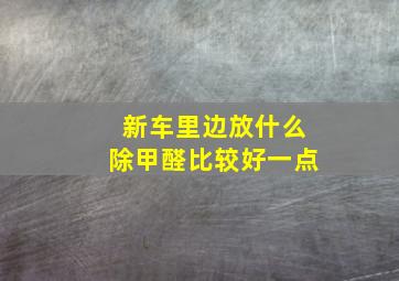 新车里边放什么除甲醛比较好一点