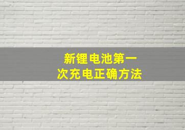 新锂电池第一次充电正确方法