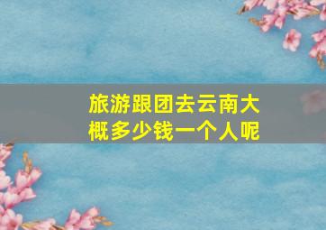 旅游跟团去云南大概多少钱一个人呢