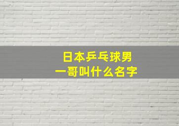 日本乒乓球男一哥叫什么名字