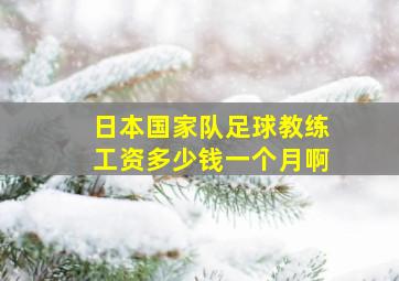 日本国家队足球教练工资多少钱一个月啊