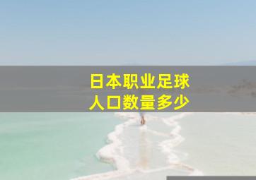 日本职业足球人口数量多少