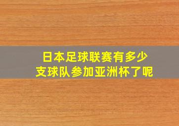 日本足球联赛有多少支球队参加亚洲杯了呢