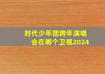 时代少年团跨年演唱会在哪个卫视2024