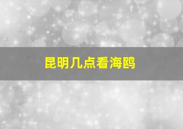 昆明几点看海鸥