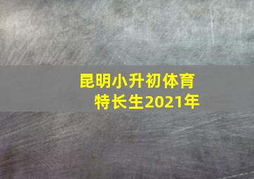 昆明小升初体育特长生2021年