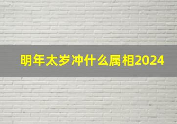 明年太岁冲什么属相2024