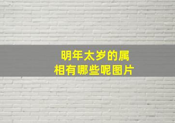 明年太岁的属相有哪些呢图片