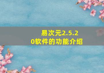 易次元2.5.20软件的功能介绍