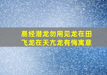 易经潜龙勿用见龙在田飞龙在天亢龙有悔寓意