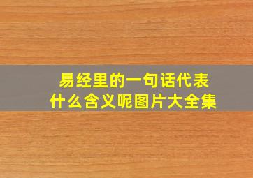 易经里的一句话代表什么含义呢图片大全集