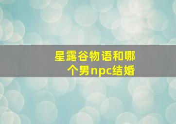 星露谷物语和哪个男npc结婚