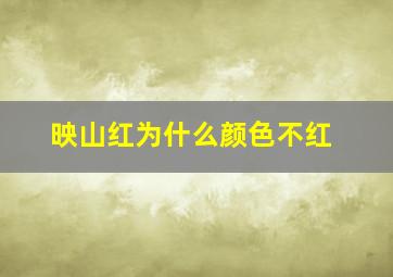 映山红为什么颜色不红