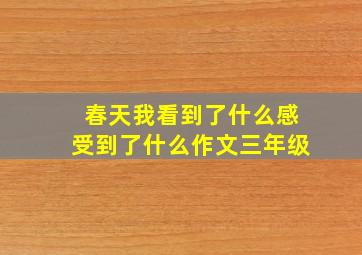 春天我看到了什么感受到了什么作文三年级