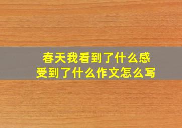 春天我看到了什么感受到了什么作文怎么写