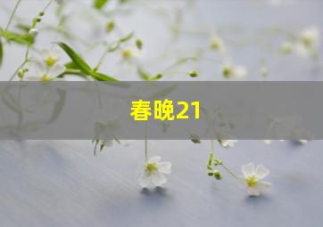 春晚21