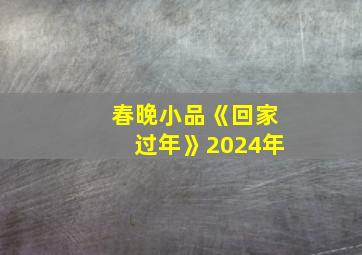 春晚小品《回家过年》2024年