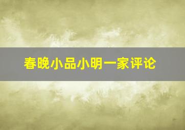 春晚小品小明一家评论