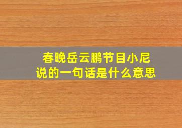 春晚岳云鹏节目小尼说的一句话是什么意思