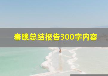 春晚总结报告300字内容