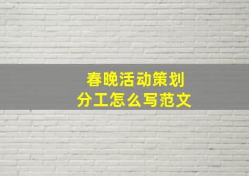 春晚活动策划分工怎么写范文