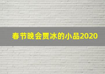 春节晚会贾冰的小品2020