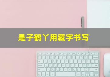 是子鹤丫用藏字书写